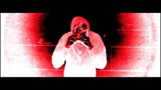 STEIN27 - Slunečnice