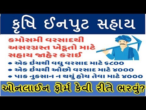 Online Entry Form Krushi Sahay ll Digital Gujarat ll VCE