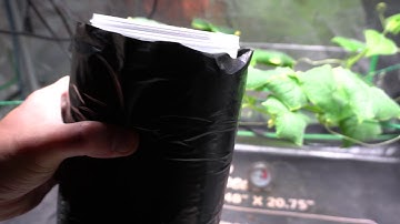 Changing Hydroponic Nutrients - A Quick and Simple Method