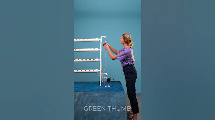 DIY Budget-Friendly Hydroponic System at Home ☘ #shorts #planting #garden #diy #hydroponic