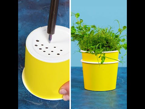DIY Budget-Friendly Hydroponic