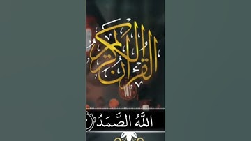 سورة الإخلاص ❤️❤️#القرآن #سورة_الإخلاص #ماهر_المعيقلي #المغرب #السعودية #الجزائر #القرآن_الكريم