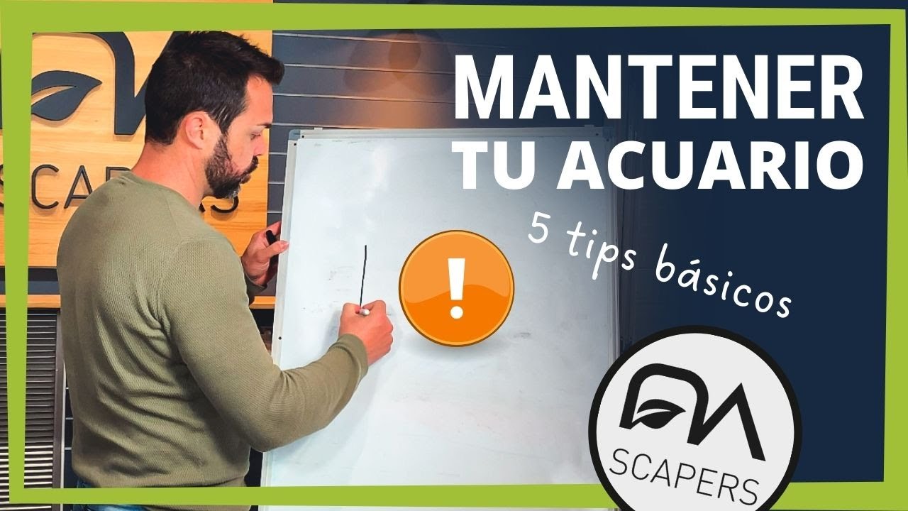 5 TIPS esenciales para mantener tu 🌿 acuario ☘️ plantado