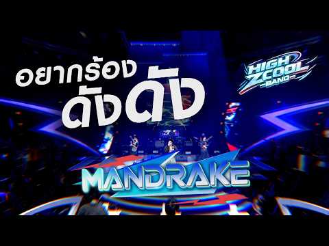 อยากร้องดังดัง - MANDRAKE | HIGH ZCOOL BAND