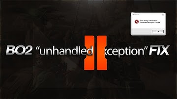 How to fix "Unhandled exception" BO2