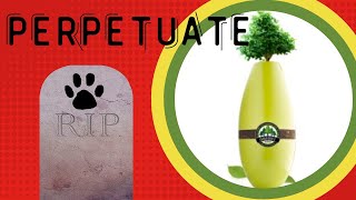 PERPETUATE - funerária animal ecológica by Pet's com Pinta 236 views 1 year ago 10 minutes, 41 seconds