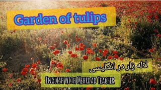 لاله زار و باغ گل لاله در انگلیسی | Garden of Tulips in English