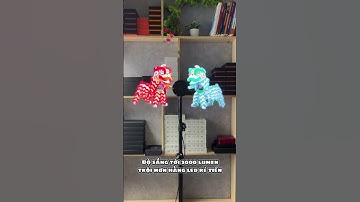 ĐÈN LED 3D HOLOGRAM  - XU HƯỚNG MỚI