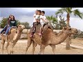 Fun Day Out to the Camel Park, Mazotos, Larnaca