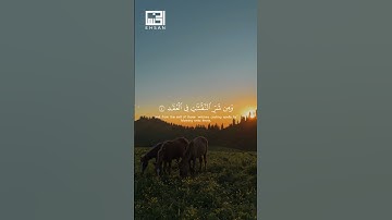 سورة الفلق كاملة القارئ الشيخ ماهر المعيقلي  #اكسبلور #القران