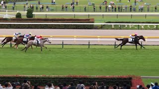 【希少】シンエンペラー ☆メイクデビュー東京 ☆ホープフルＳ 現地単勝馬券 シンエンペラー の競走馬情報 | POG-INFO