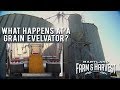 What Happens at a Grain Elevator? | Maryland Farm & Harvest