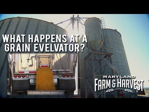 Video: Crop Elevator