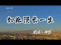 司南 － 如此漫長一生『我曾深埋放空的枯枝中』（動態歌詞/Lyrics Video/無損音質/4k）