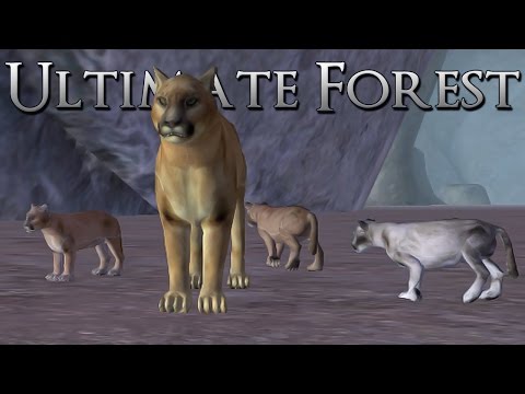 Birth of Our Triplet Cougar Kittens!! • Ultimate Forest Simulator