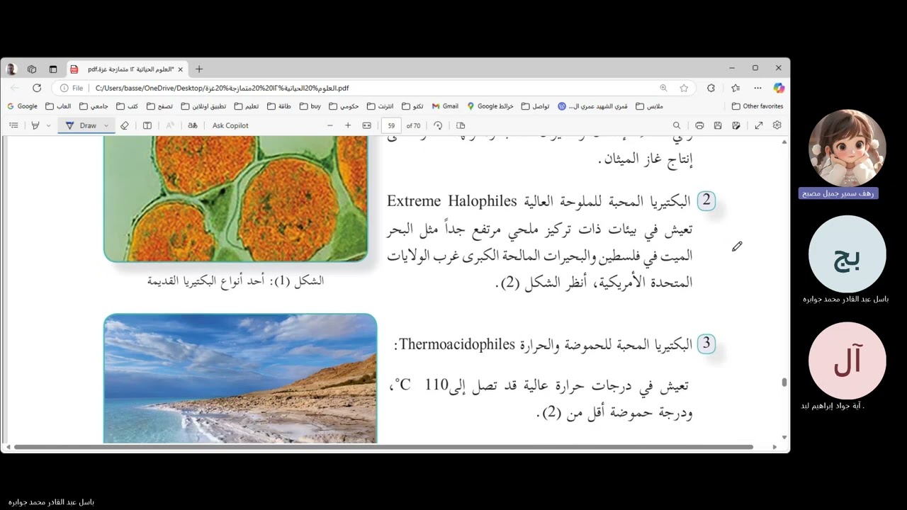 فصل بكتيريا / متمازجة غزة