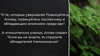 Шейх Салих аль-Усайми "Зло Суруритов"