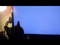 Cat chases Mouse on Cat Games