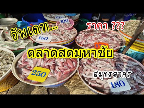 ตลาดมหาชัย สมุทรสาคร/ อัพเดท /อาหารทะเลสด อาหารทะเลแห้ง/ราคาแพงไหม ? #ตลาดมหาชัย #อาหารทะเล #ซีฟูด