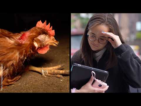 Customers See a Cage-Free Egg Farm for the First Time