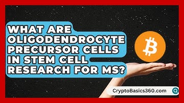 What Are Oligodendrocyte Precursor Cells in Stem Cell Research for MS? | MS Support Network