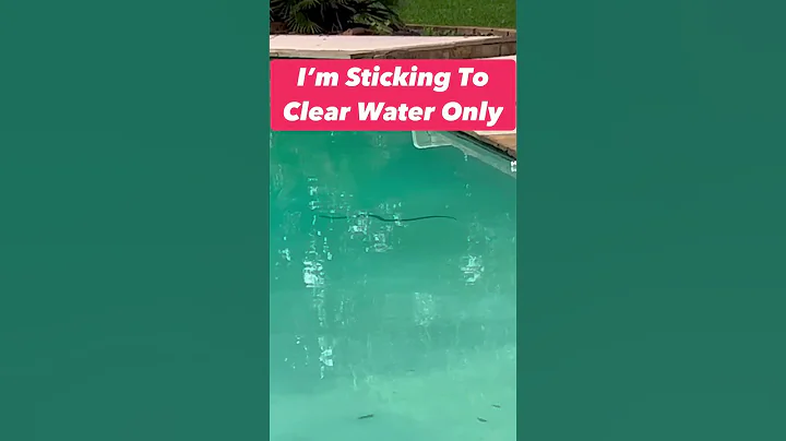 Pool Snakes Are My Least Favorite!