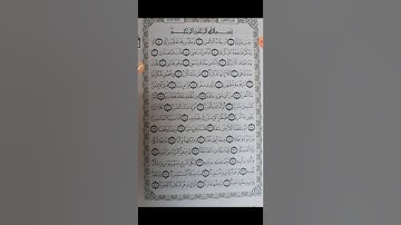 سورة عبس (٣٨-٤٢)