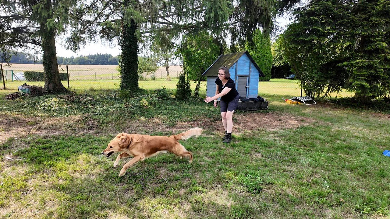 Auf den Hund gekommen: Hundetrainerin Tanja Schnatz gibt Tipps