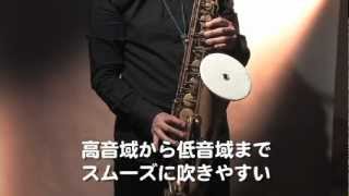 Sax mute chibidecibel2 サックスミュート　チビデシベル２　サウンド風雅