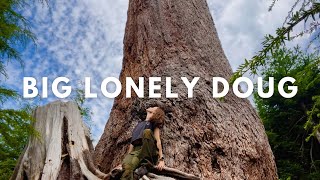 Visiting Big Lonely Doug - the Second Largest Douglas Fir in Canada