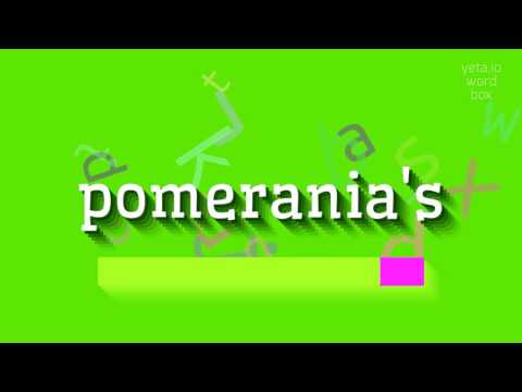 Video: Pommere - wat is dit, dier of plant?