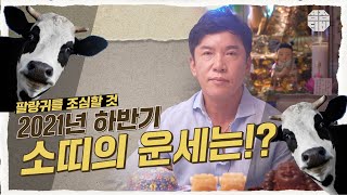 (서울점집 강릉점집)(띠별운세) 2021년 하반기 소띠 운세!! [점점tv]