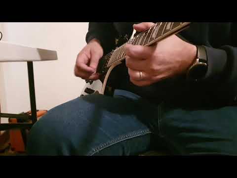 Polo - Salazar Pickups Panda Bridge