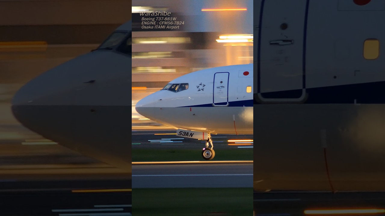 17-Year-Old Vet, Maximum Takeoff G-Force | ANA B737-881W JA53AN | Osaka ITAMI Airport