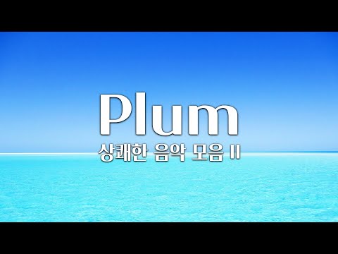 𝐏𝐥𝐚𝐲𝐥𝐢𝐬𝐭 가슴이 뻥 뚫리는 상쾌한 음악 모음 2탄 중간광고 X Plum 음악 모음