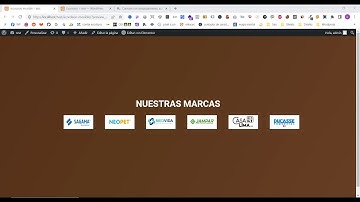 ¡Aprende a crear un carrusel infinito en elementor fácil y rápido!