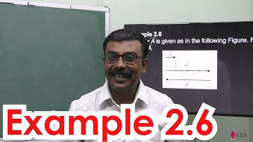 6.Physics | Kinematics | Example 2.6