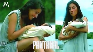 Pantanal: o nascimento de Juma Marruá