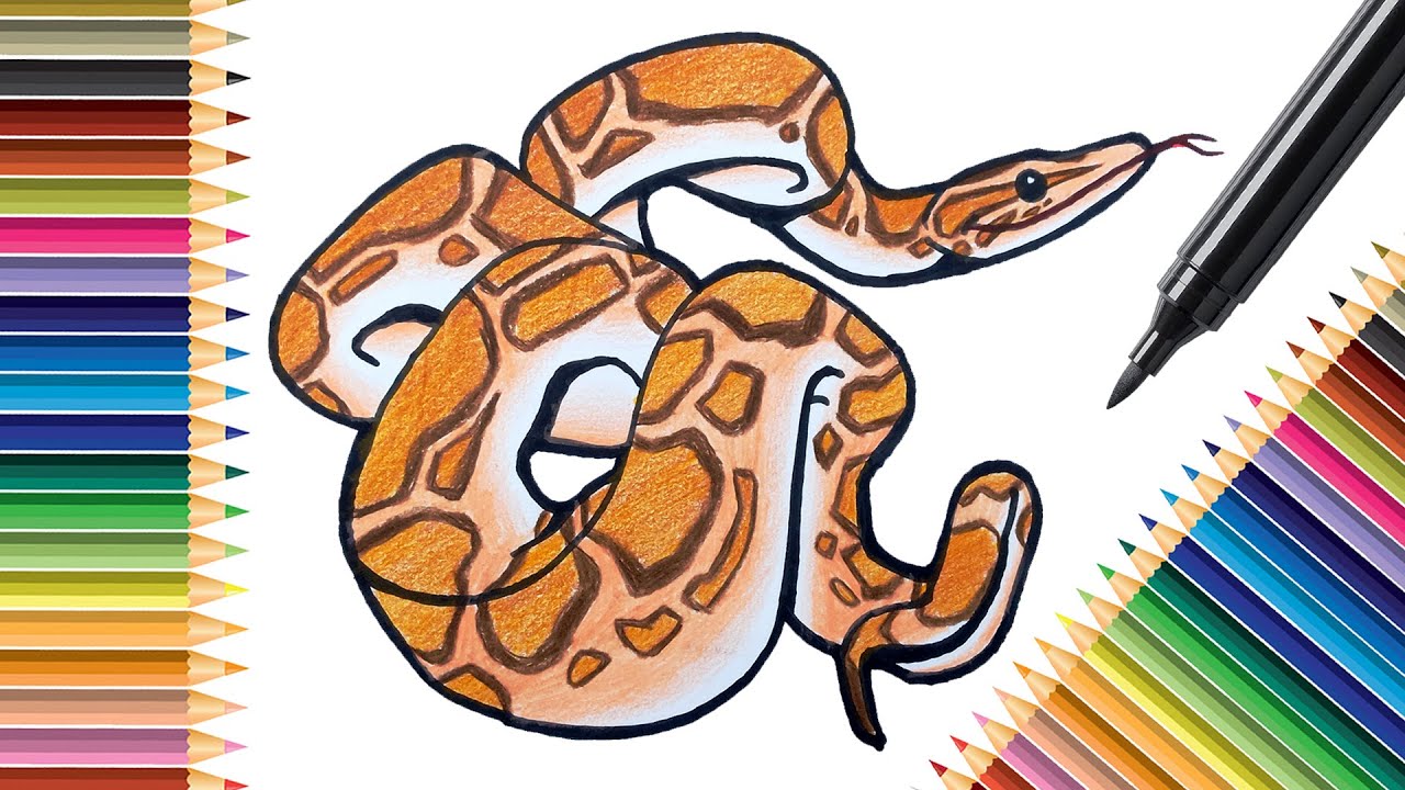 Drawing,Painting and Coloring for Kids & Toddlers , Easy Drawing Cute ...