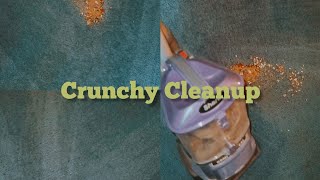 Short But Crunchy #shark #vacuum #messtest #cleanup #asmrsounds #video #oddlysatisfying