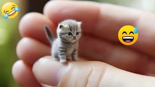 Funniest Dogs and Cats  Funniest Animals 2024 # 24