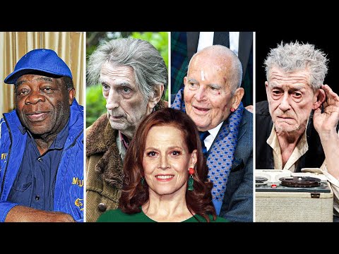 Video: Harry Dean Stanton grynoji vertė