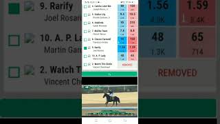 Betpro Horse race & Greyhound Tips&Tricks screenshot 4