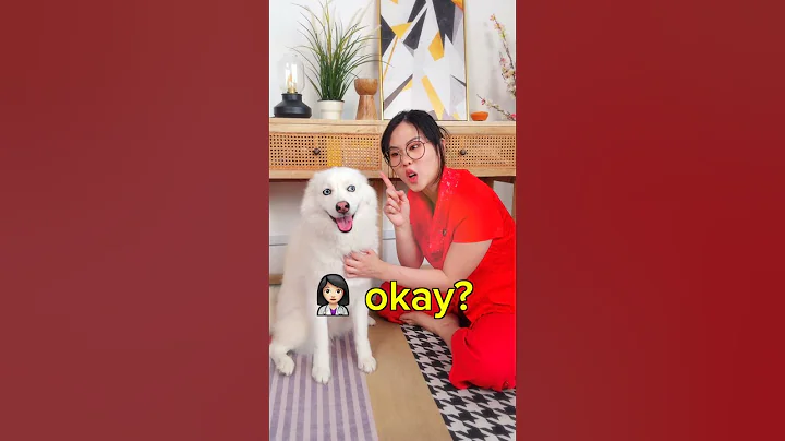 Asian Mums when You Get a Pet #shortsfeed