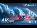 Nature Relaxation in 8K HDR | Dolby Vision Ultra HD Views 4K HDR 60FPS TV