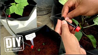 Pemasangan Sistem Pengairan Automatik Untuk Kebun Kecil [DIY]