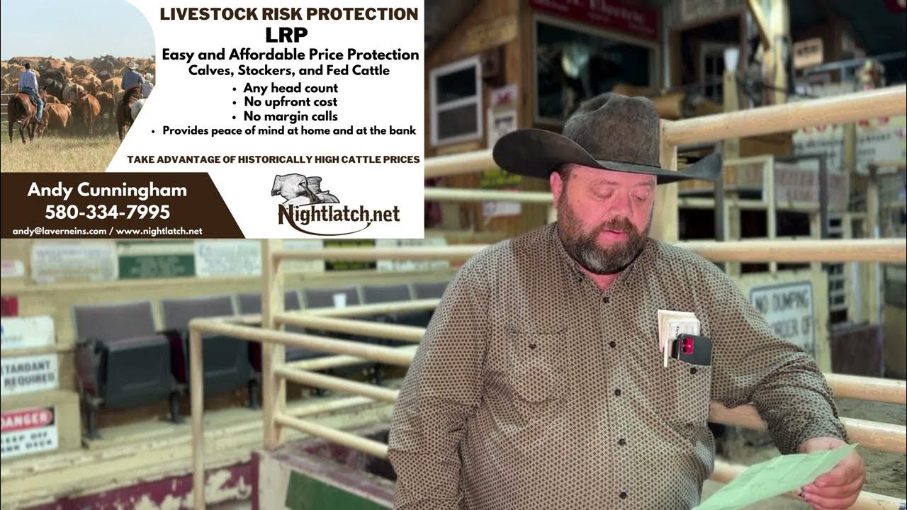 6/6/23 Cattle Market Report Beaver County Stockyards YouTube