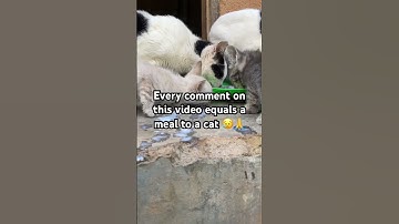 For any Help. Link In Our Channel Description To Donate