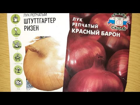 Успейте посадить и вырастить лук из семян !