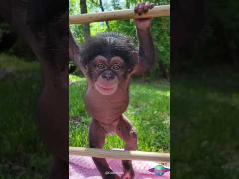 Watch This Baby
